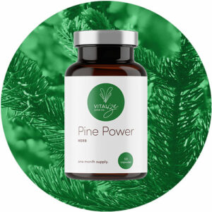 pine power herb