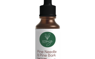 Pine Needle & Pine Bark Tincture
