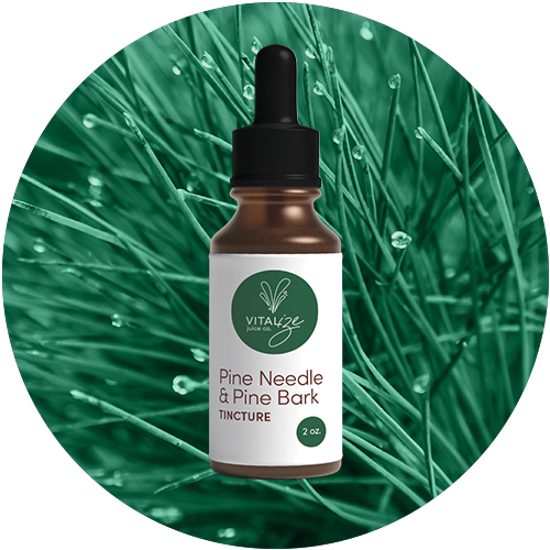 Pine Pollen Ginseng Tincture