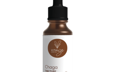 Chaga Tincture